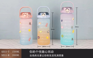 太空壺雙飲漸變系列