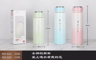 Ladies Business Cup II Series